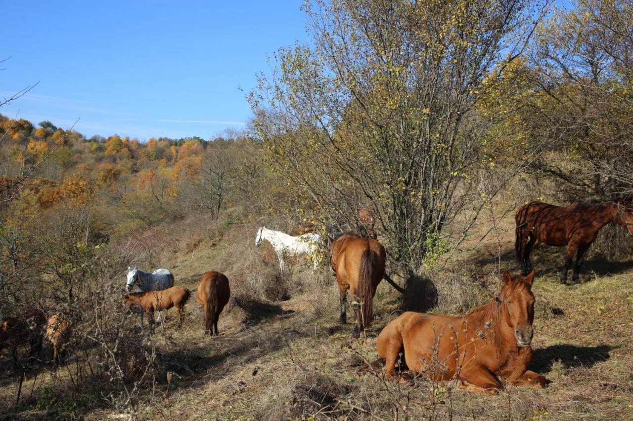 Козацька Фортеця Pliskachevka Buitenkant foto